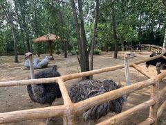 -大连森林动物园