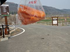 -大连铭湖国际观光牧场