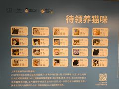 -上海K11购物艺术中心