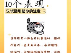 -荔康动物医院(康王北路店)