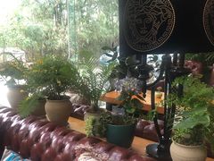 -桉树林A coffee 森林餐厅(三圣乡店)