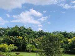 -福建鲤鱼洲酒店