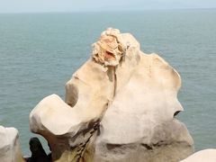 -浪琴湾度假村