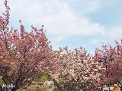 -白马涧龙池景区