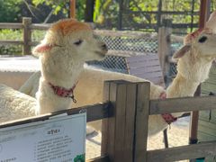 -珠海海泉湾神秘岛亲子乐园