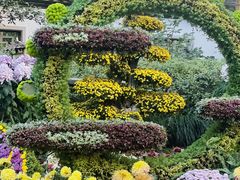 -杭州植物园