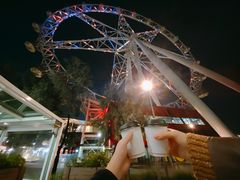 -墨尔本之星 观景摩天轮