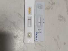 -关爱动物医院·心脏·中兽医·异宠(金牛路分院)