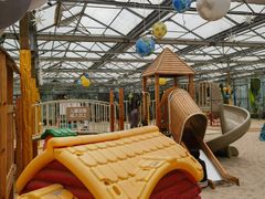 -南宫五洲植物乐园