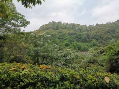 -火炉山森林公园
