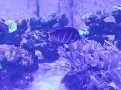 -上和臻品中国菜(花园街店)