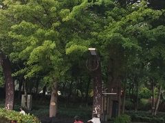 -映月湖公园