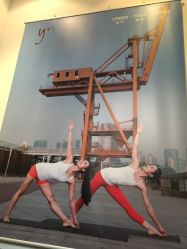 点击看大图 -Y+瑜伽会所