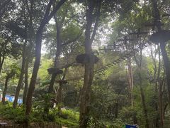 -杭州开元森泊度假乐园