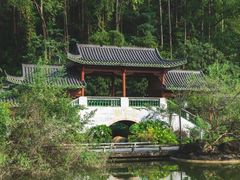 -广州神农草堂中医药博物馆