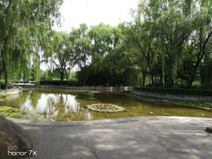 -洛阳市隋唐城遗址植物园