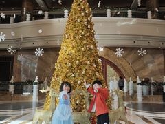 -大中华希尔顿酒店-念自助餐·海南美食·三文鱼