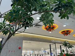 -野人先生Gelato(上海长宁龙之梦店)