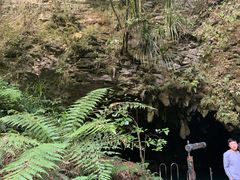 -怀托摩萤火虫洞