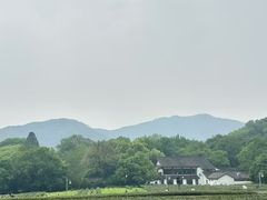 -龙井村