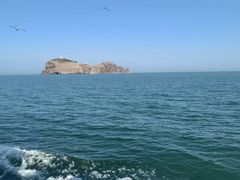 -海驴岛(荣成市)