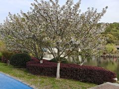 -龙寺生态园