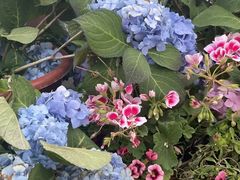 -永定河休闲森林公园