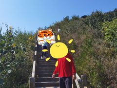 -大岭沟猕猴桃谷风景区
