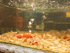 -龙泉海鲜酒楼(龙昆南路店)