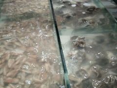 -星伦多自助料理(华润万象城店)