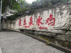 门面-老幺泉水鸡
