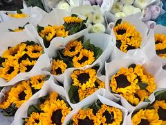 -循礼门鲜花花市(武汉循礼门店)