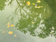 -四海公园(南山区)