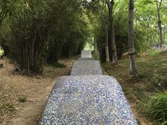 -暨阳湖生态园