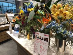-JINS(天津大悦城店)