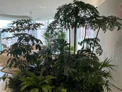 -上海康奥医疗美容医院