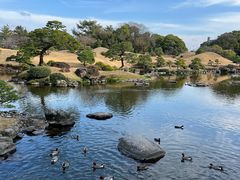 -水前寺成趣园