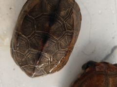 -湖南生物机电职业技术学院(东湖校区)