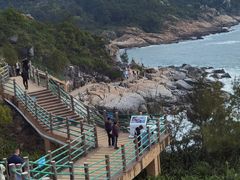-广东惠东海龟国家级自然保护区