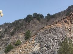 -王莽岭风景区