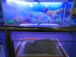 -北京科学中心儿童乐园