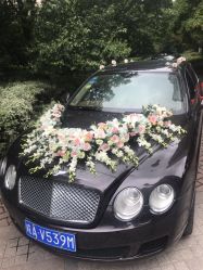 -蚂蚁婚车