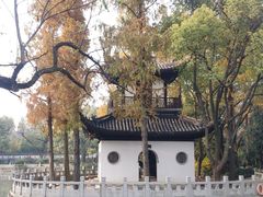 -汇龙潭