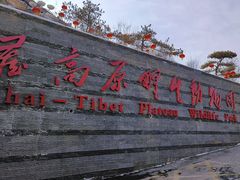 -青藏高原野生动物园