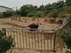 -泉州海丝野生动物世界