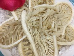 -青瓷火锅料理(西单大悦城店)