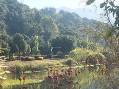 -福州大学(旗山校区)