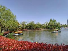-黄兴公园