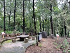 -北京鹫峰国家森林公园