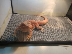 -酷嗒动物文化乐园(cutezoo西溪乐天城店)